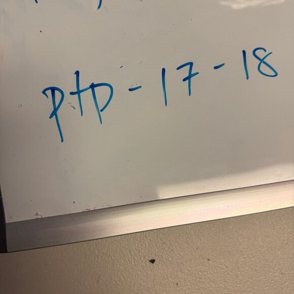 All Saints Floral Sheer Mesh Bodysuit Black Beige Size 2 Long Sleeve Top - Picture 15 of 16